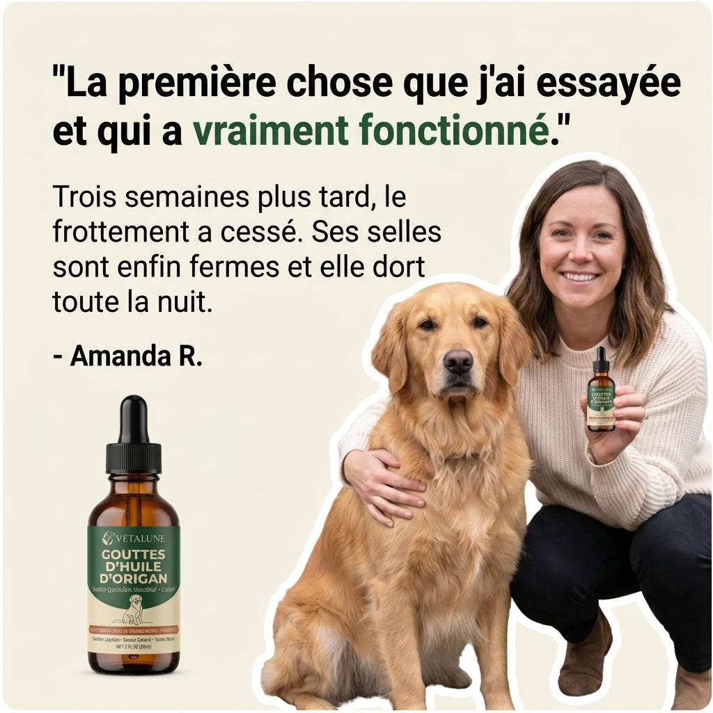 Gouttes d'huile d'origan